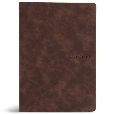 Text: "HOLY BIBLE". Dunkelbrauner Ledereinband mit dezenter Maserung.