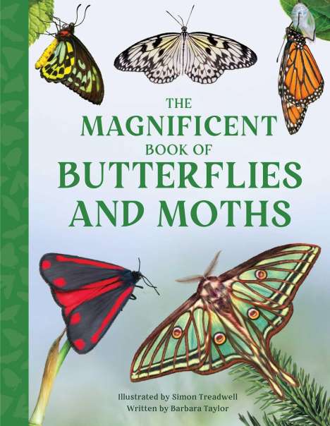 Barbara Taylor: The Magnificent Book of Butterflies and Moths, Buch