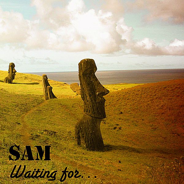 Sam Waitin Sam: Waiting For (CD) – jpc.de