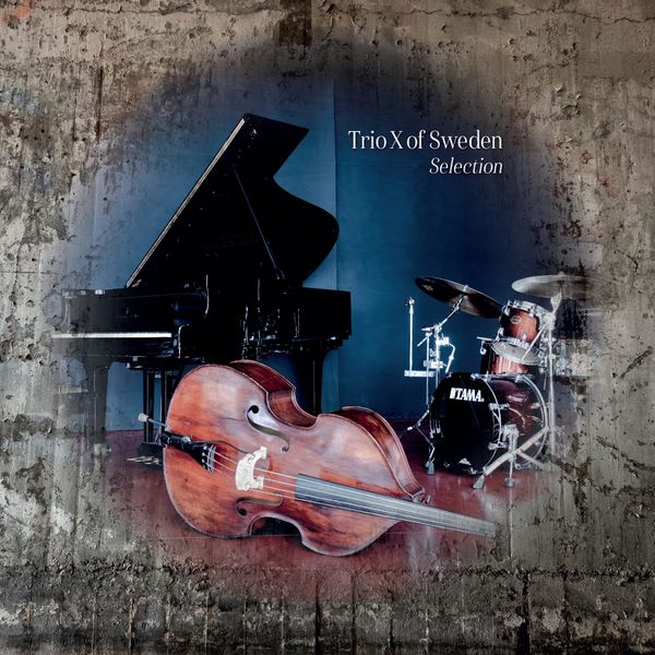 Pochette de SELECTION (Vinyl LP) par TRIO X OF SWEDEN