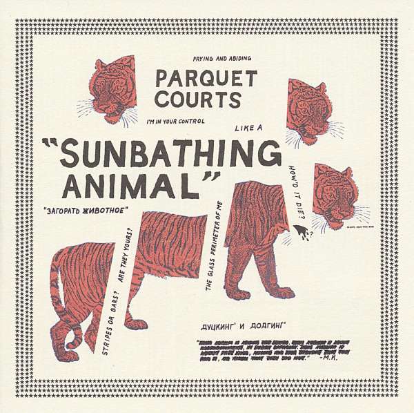 parquet courts sunbathing animal
