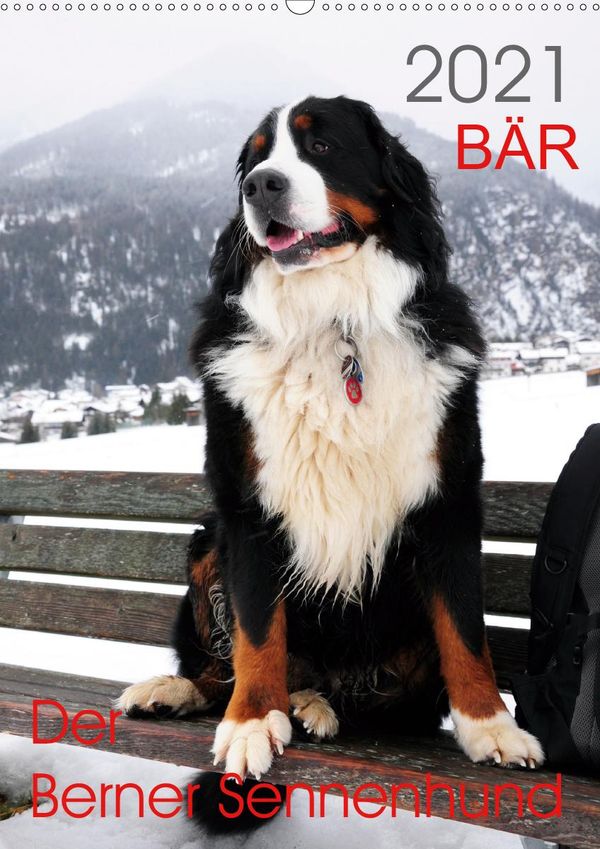 Sonja Brenner Bar Der Berner Sennenhund Wandkalender 21 Din Hoch Kalender Jpc