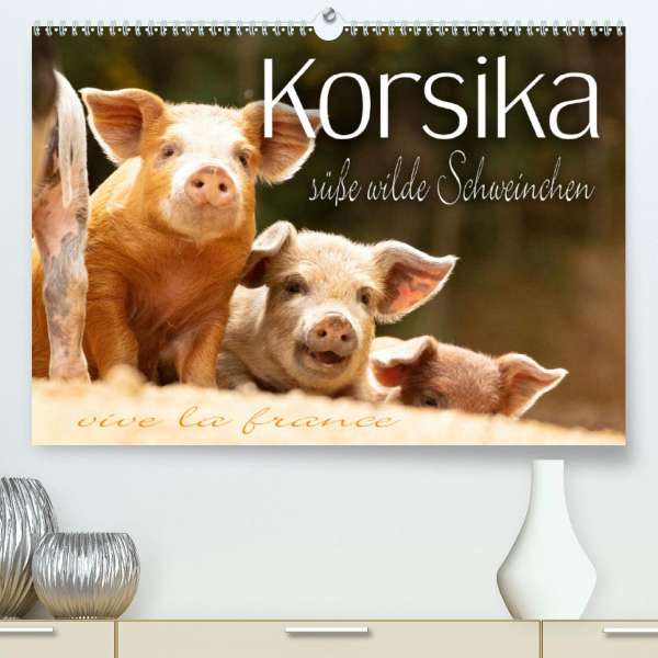Monika Schob Korsika Susse Wilde Schweinchen Premium Hochwertiger Din Wandkalender 21 Kunstdruck In Hochglanz Kalender Jpc