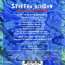 Steffen Schorn (geb. 1967): Cellular Structures: Live 2000, CD (Rückseite)