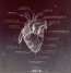 Katatonia: The Fall Of Hearts (Limited Deluxe Boxset), 2 Singles 10", 1 CD und 1 DVD (Rückseite)