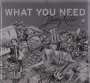 Jimmy Reiter: What You Need (handsigniert), CD