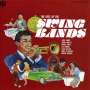 Best Of Swing Bands / V: Best Of Swing Bands / Various, CD