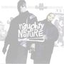 Naughty By Nature: IIcons, CD