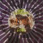 Bad Brains: Spirit Electricity, 10I