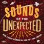 : Sounds Of The Unexpected: Weird & Wacky Instrumentals From Pop's Final Frontiers, CD