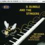 B. Bumble & The Stingers: Nut Rocker, CD
