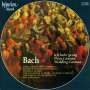 Johann Sebastian Bach: Kantaten BWV 82,202,208, CD,CD