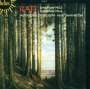 Joachim Raff: Symphonien Nr.3 & 4, CD