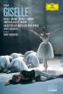 : American Ballet Theatre - Giselle (Adam), DVD