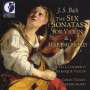 Johann Sebastian Bach: Sonaten für Violine & Cembalo BWV 1014-1016, CD