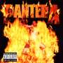 Pantera: Reinventing The Steel, CD