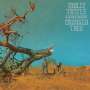Molly Tuttle & Golden Highway: Crooked Tree, LP