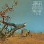 Molly Tuttle & Golden Highway: Crooked Tree, CD