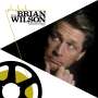 Brian Wilson: Playback: The Brian Wilson Anthology (180g), LP,LP