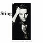 Text: "Sting ...Nothing Like the Sun." Schwarz-weißes Porträt eines nachdenklichen Mannes, der in die Kamera schaut.