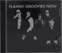 The Flamin' Groovies: Now, CD