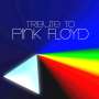 : Tribute To Pink Floyd, CD