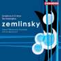 Alexander von Zemlinsky: Symphonie Nr.1 d-moll, CD