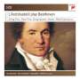 Ludwig van Beethoven: Streichtrios Nr.1-5, CD,CD,CD,CD,CD
