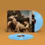 Interpol: Our Love To Admire (Limited Edition) (Sky Blue Vinyl), LP,LP