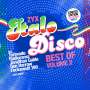 Pop Sampler: ZYX Italo Disco: Best Of Vol.2 (Limited Edition) (Colored Vinyl), LP,LP