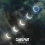 CamelPhat: Dark Matter, CD,CD