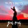 Biig Piig: The Sky Is Bleeding (EP), LP