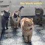 Oben steht „the black watch“ und „The Fuzzy End of the Lollipop“. Vier Katzen in einer Küche auf gemustertem Boden.