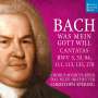Johann Sebastian Bach: Kantaten BWV 5,33,94,111,113,135,178, CD,CD