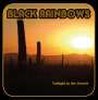 Black Rainbows: Twilight In The Desert, CD
