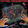 Peter Frampton: Art Of Control, CD