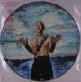 Years & Years: Night Call (Limited Edition) (Picture Disc), LP