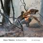 Steve Tibbetts: Hellbound Train: An Anthology, CD,CD