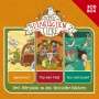 : Schule Der Magischen Tiere-3-CD Hspbox Vol.2, CD,CD,CD