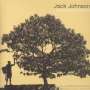 Jack Johnson: In Between Dreams (180g), LP