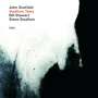 John Scofield: Swallow Tales, LP