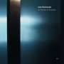 Jan Garbarek: In Praise Of Dreams (180g), LP