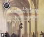 Johann Sebastian Bach: Sämtliche Kantaten Vol.20 (Koopman), CD,CD,CD