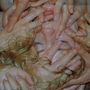 Pharmakon: Contact, LP