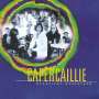 Capercaillie: Beautiful Wasteland, CD