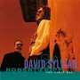 David Sylvian & Robert Fripp: The First Day, CD