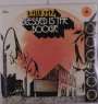 Datura4: Blessed Is The Boogie (Limited Edition) (Colored Vinyl), LP