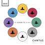 : Cantus - The Covid-19 Sessions, CD