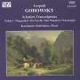 Leopold Godowsky: Klavierwerke Vol.6, CD