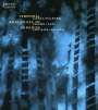 Jonas Hellborg: Temporal Analogues Of Paradise - Live 1995, CD